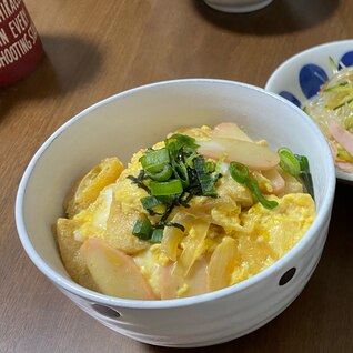 給料日前の節約レシピ！木葉丼